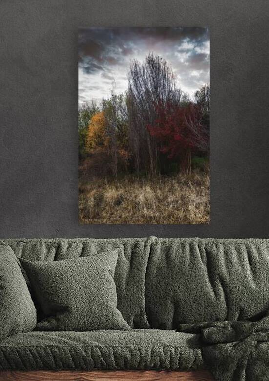 Meet the autumn by Dejan Travica