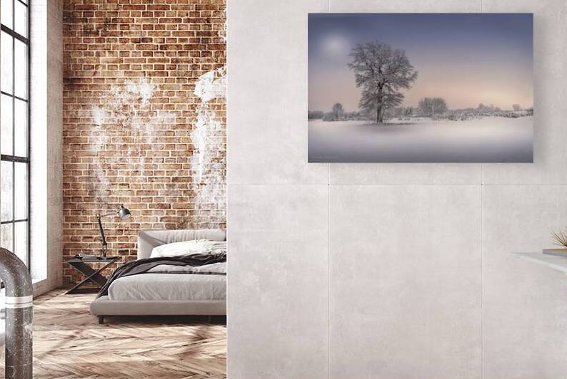 Winter tree Reproduction