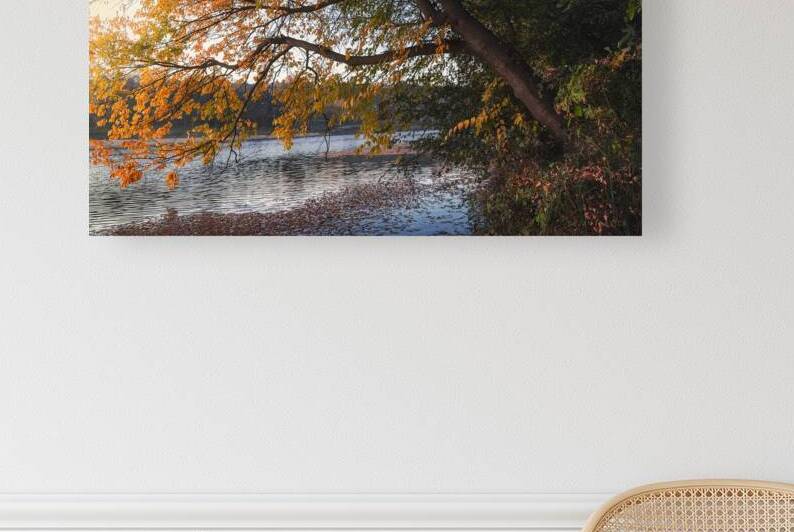 Here comes the autumn on the small lake by Dejan Travica