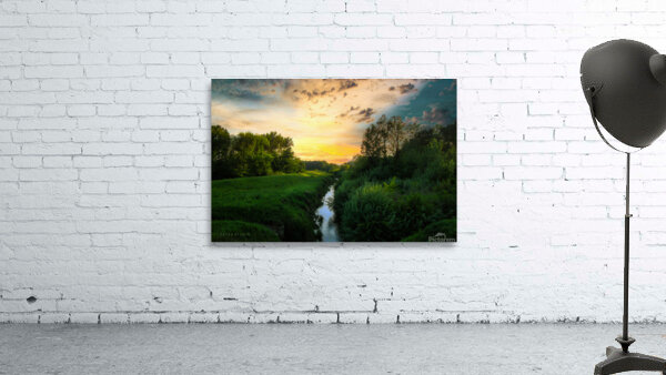 A small forest river Wall Preview