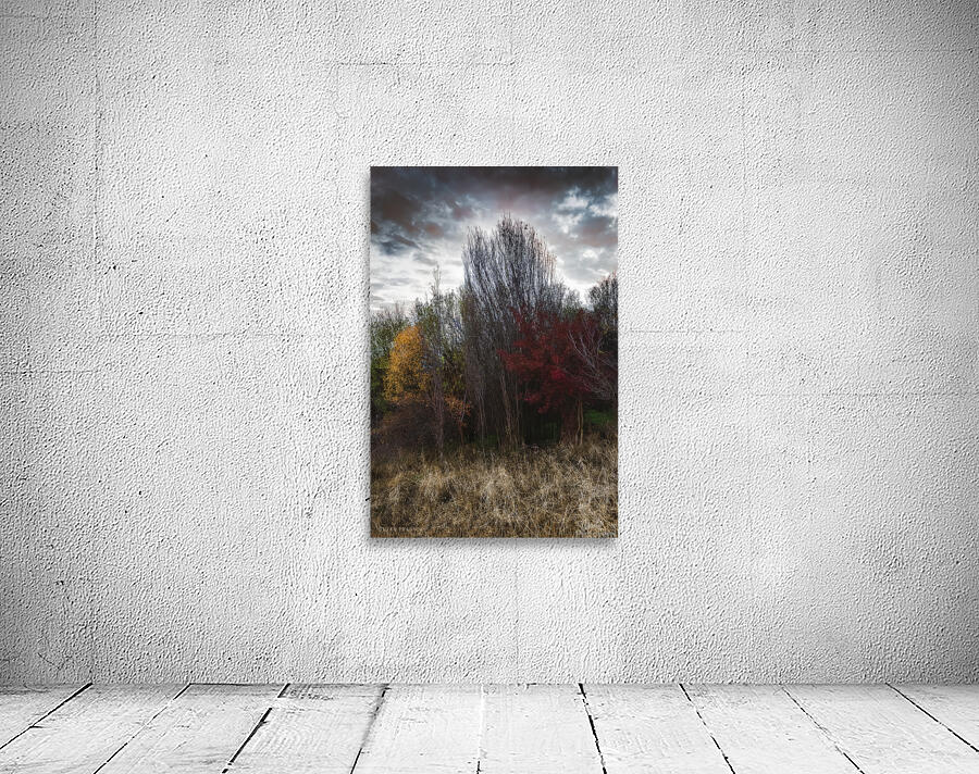 Meet the autumn Wall Preview