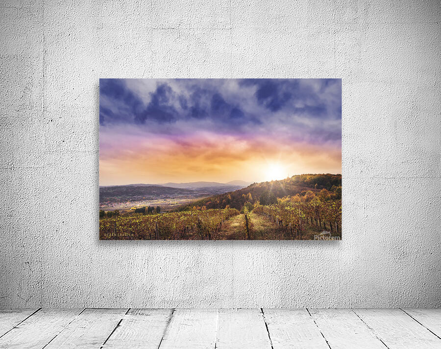 Oplenac vineyards Wall Preview