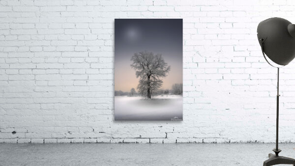 Winter solitude Wall Preview