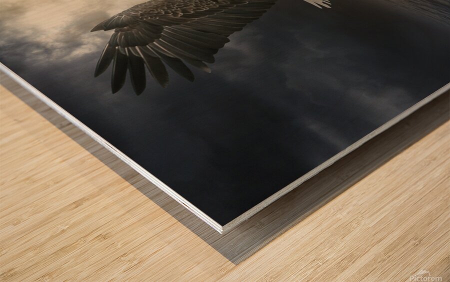 The girl and the eagle Wood print