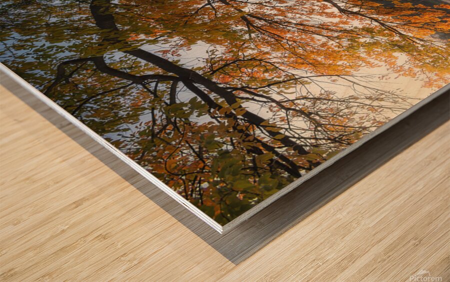 Here comes the autumn on the small lake Wood print