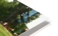 Ann HD Metal print