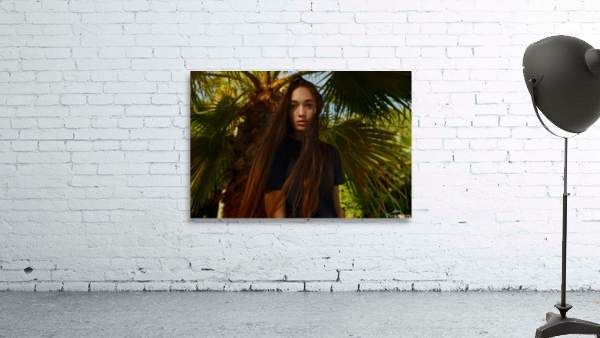 5211 Wall Preview