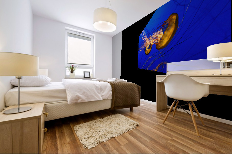 Monterey Jellyfish Mural print
