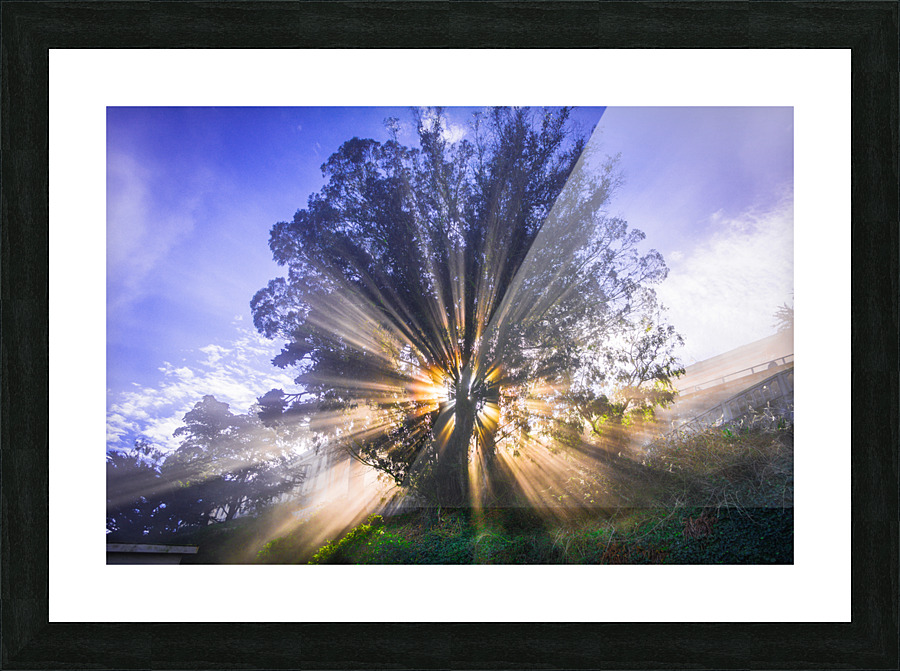 Rays of Light Picture Frame print