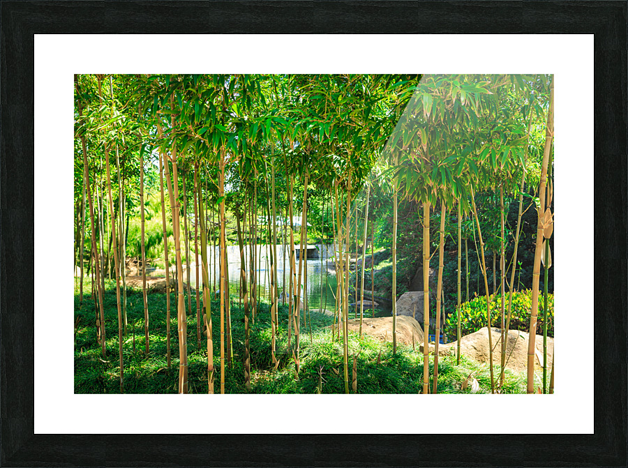 Bamboo Picture Frame print