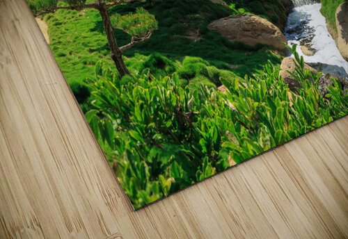 Garden Waterfall WOW Factor Photography puzzle