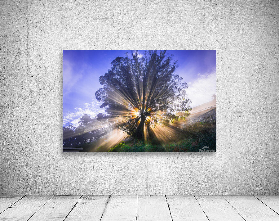 Rays of Light Wall Preview