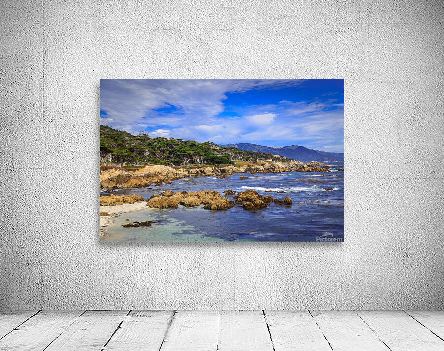 Carmel Coastline Wall Preview