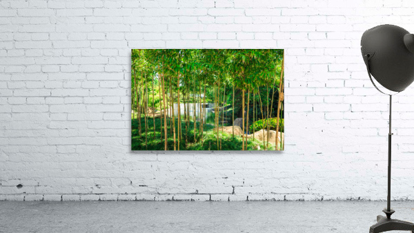 Bamboo Wall Preview