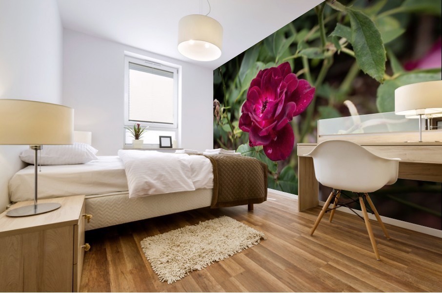 Wild Flower Mural print
