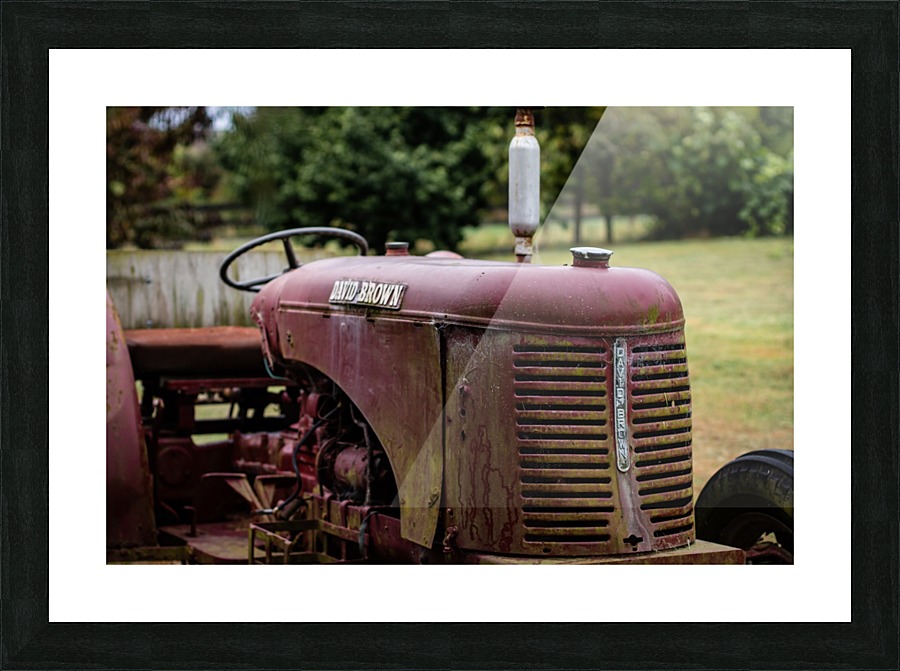  Fine Art print