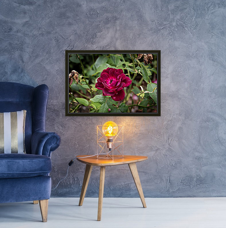 Wild Flower Reproduction