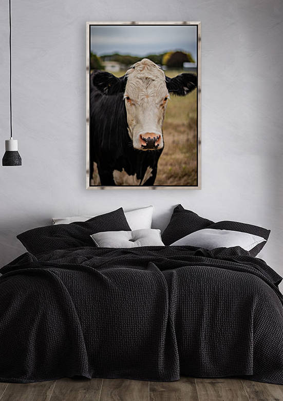 Moo Reproduction