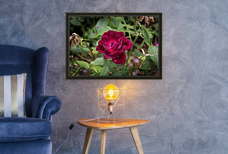 Wild Flower Reproduction