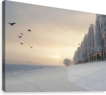 Winter fog flight Canvas Print