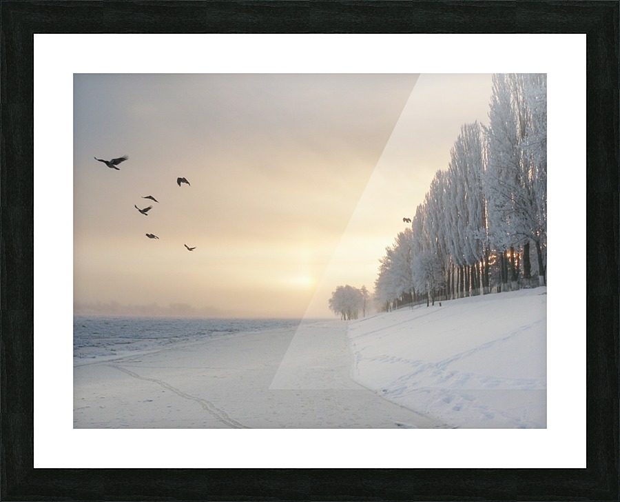 Winter fog flight Picture Frame print