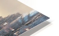 Winter fog flight HD Metal print