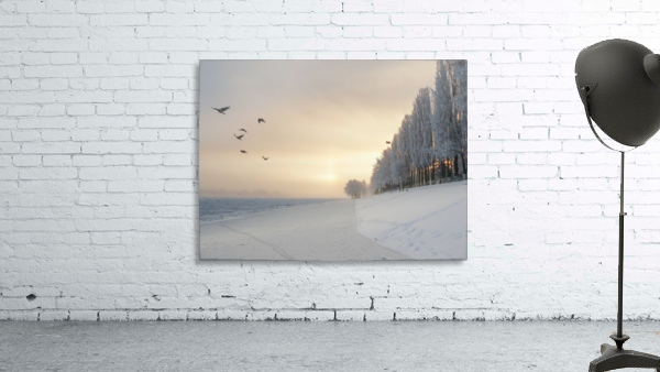Winter fog flight Wall Preview