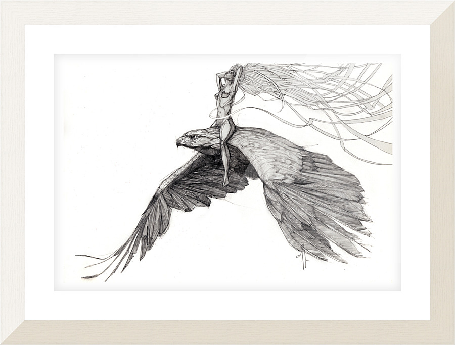 Fly Picture Frame print