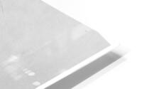 180 Degrees HD Metal print