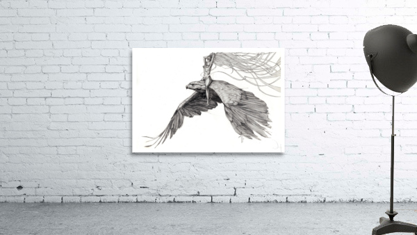 Fly Wall Preview