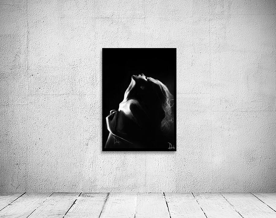 Shadow Puppet Wall Preview