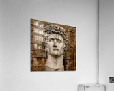 David Portrait Acrylic Print