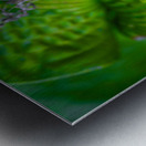 Leaf Metal print