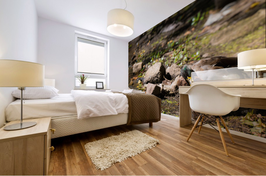 Duck Life Mural print