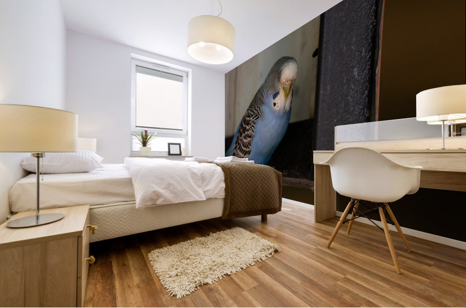 Resting Bird Mural print