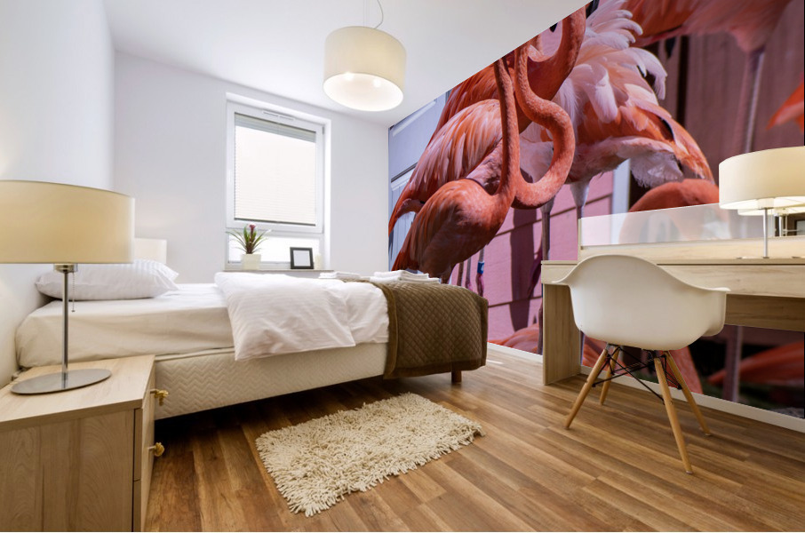 Flamingos Mural print