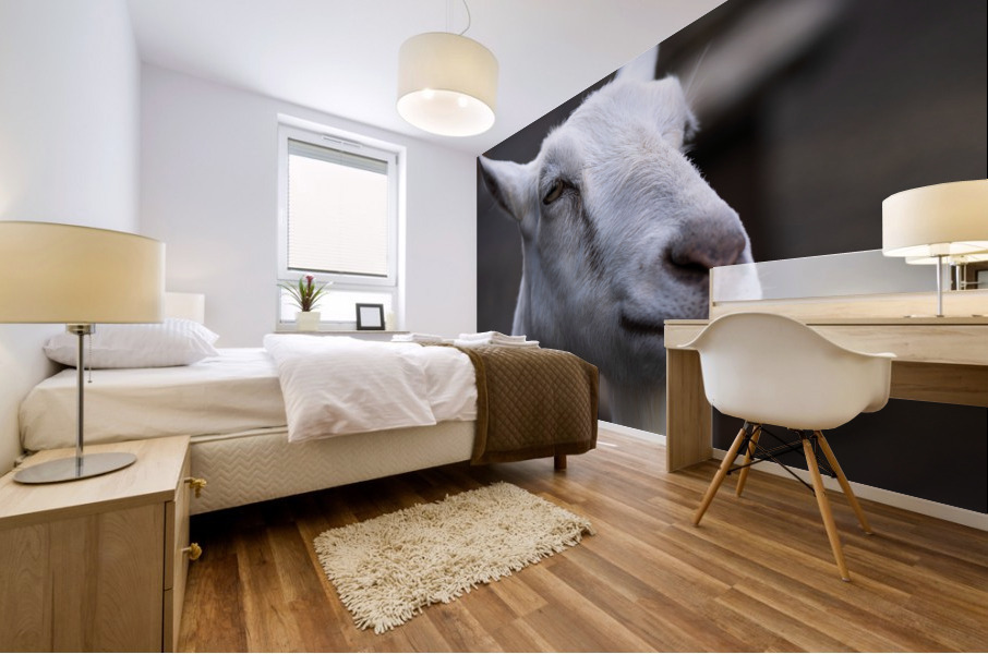 White Goat Mural print