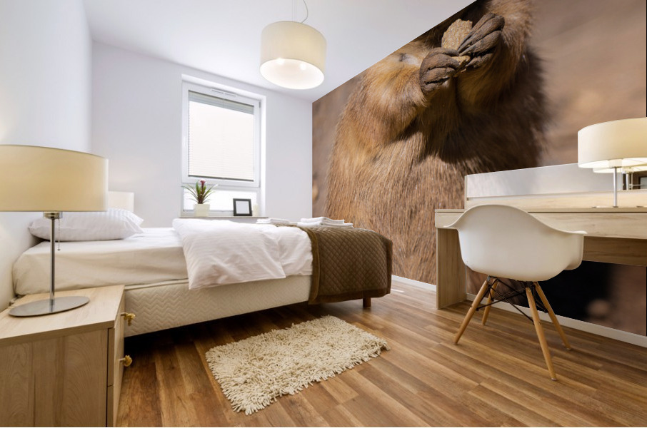 Prairie Dog  Mural print