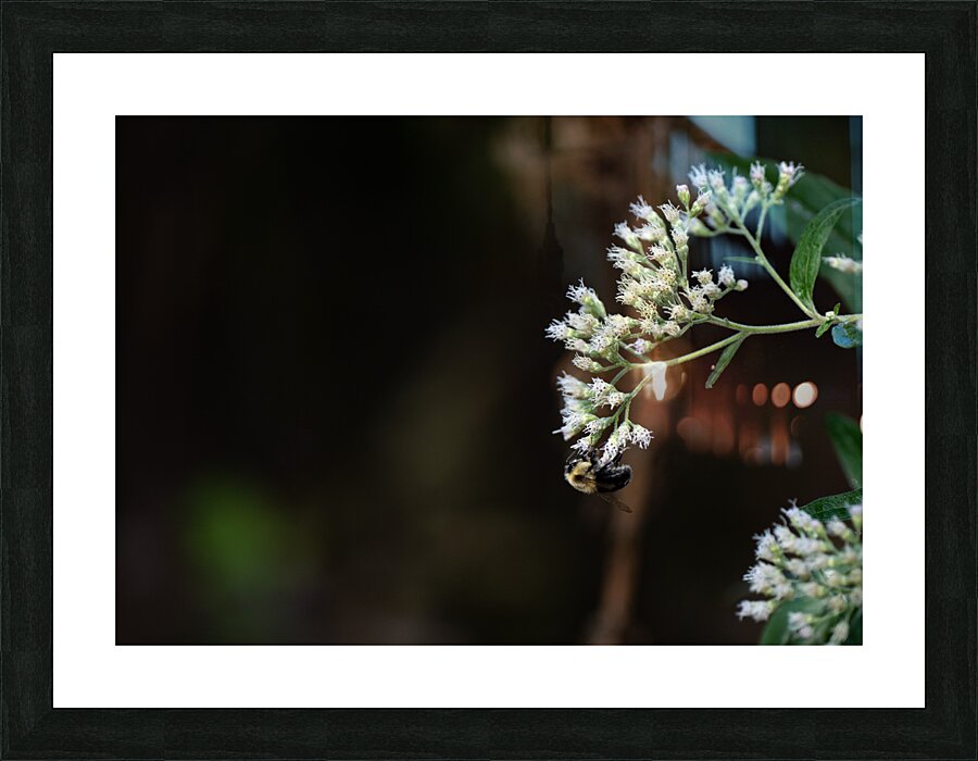 Bee Life Picture Frame print