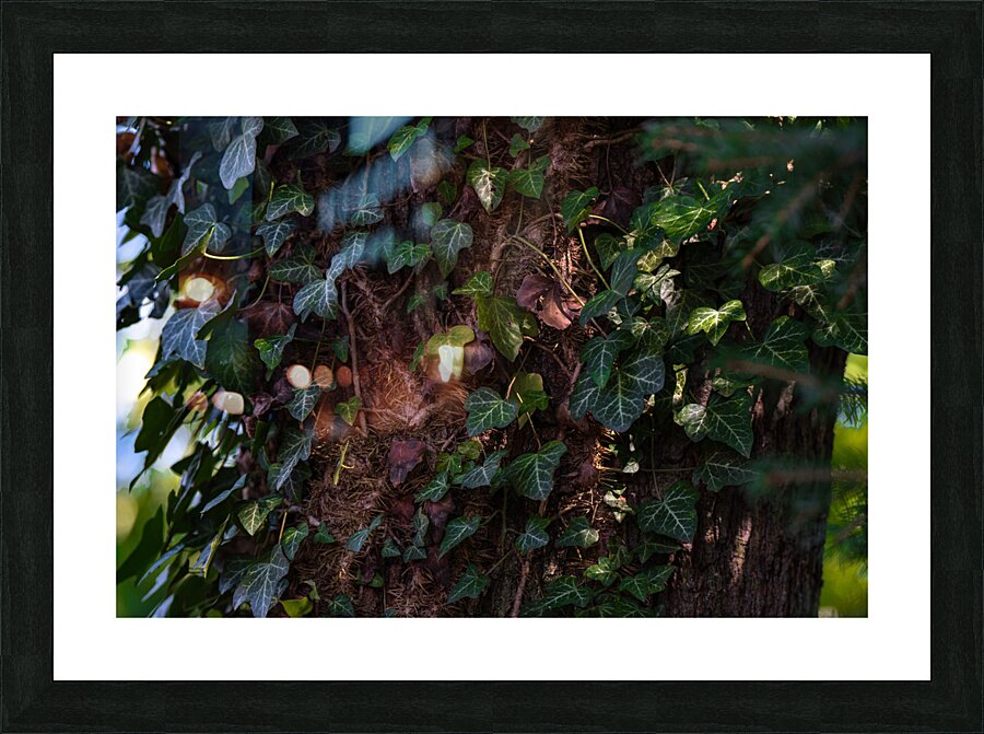 Leaf Carpet Picture Frame print