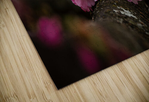 Flower Blossom BZ puzzle