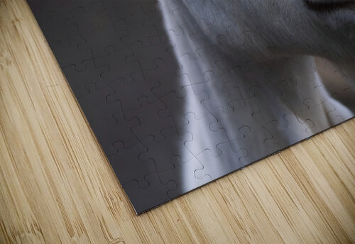 White Goat BZ puzzle