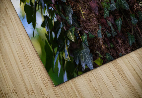 Leaf Carpet BZ puzzle