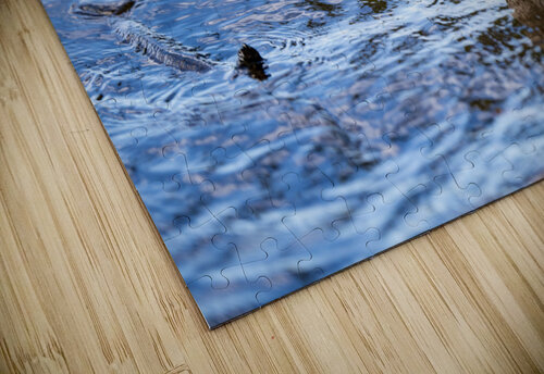 Duck Blue Water BZ puzzle