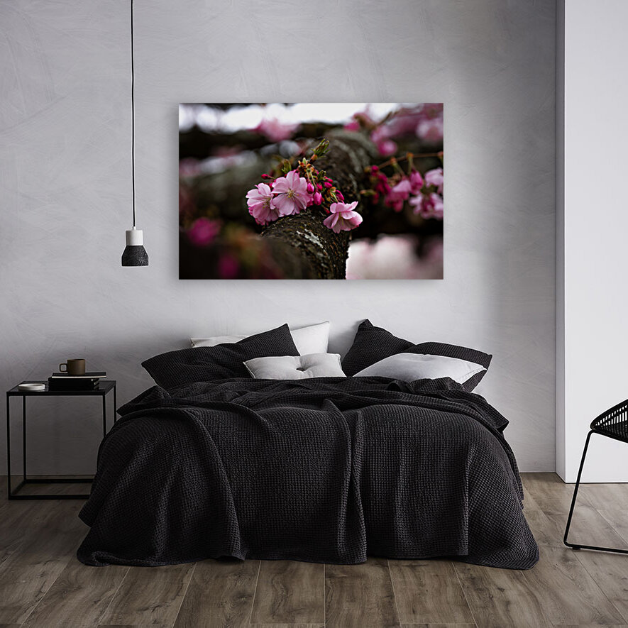 Flower Blossom Reproduction