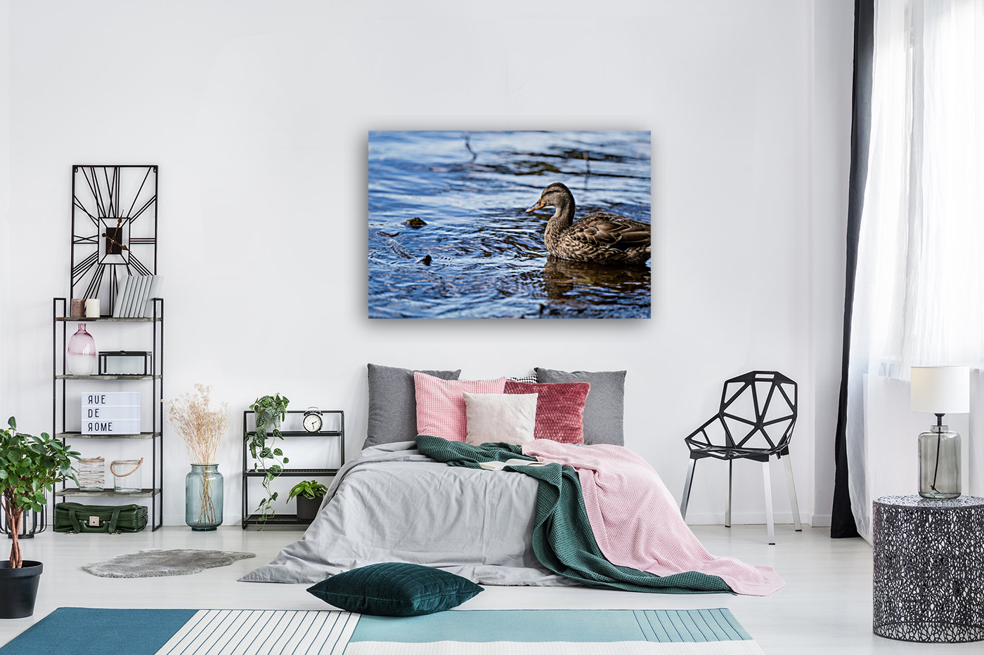 Duck Blue Water Reproduction