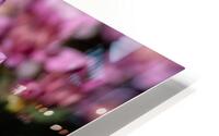 Flower Pink HD Metal print