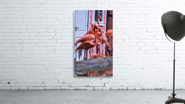 Flamingos Wall Preview