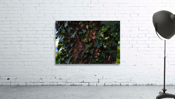 Leaf Carpet Wall Preview