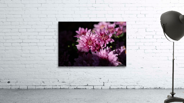 Flower Pink Wall Preview